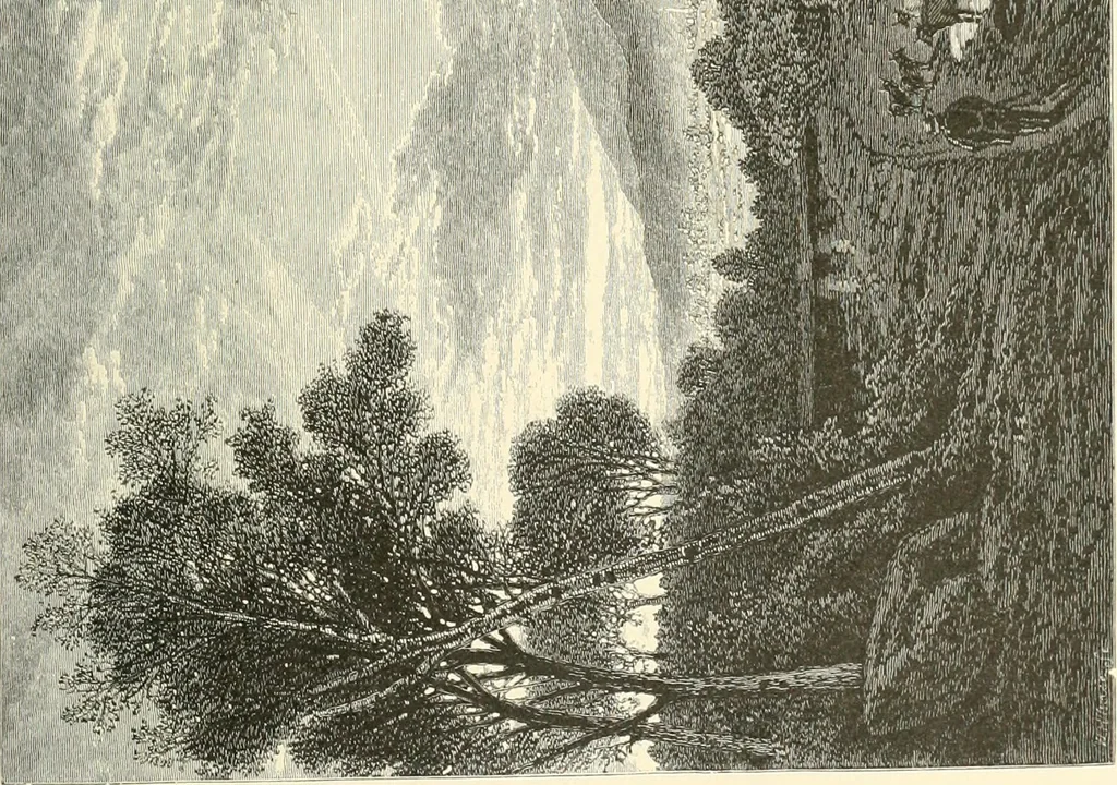 An illustration from American painters: with eighty-three examples of their work engraved on wood, 1879, leaf 166