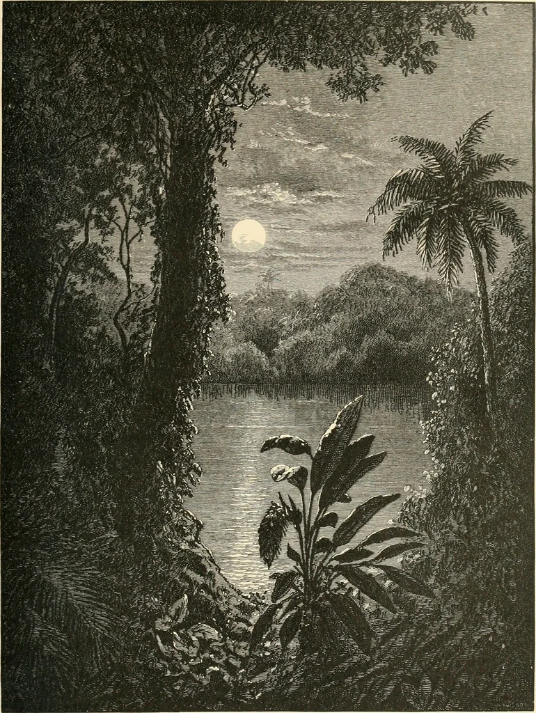An illustration from American painters: with eighty-three examples of their work engraved on wood, 1879, leaf 18