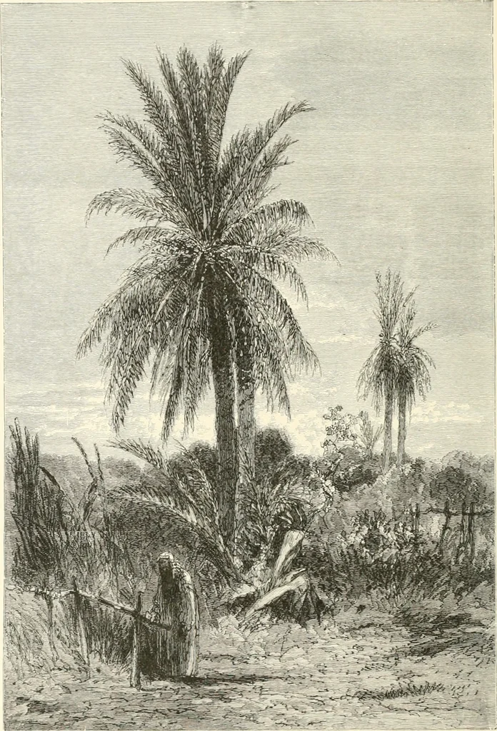 An illustration from American painters: with eighty-three examples of their work engraved on wood, 1879, leaf 183