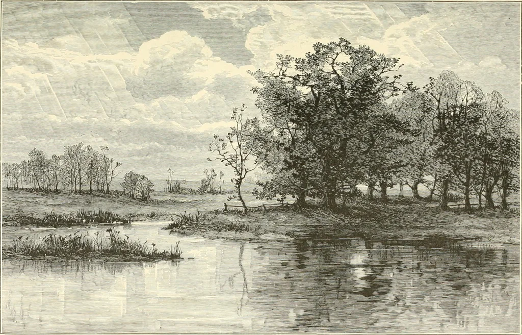 An illustration from American painters: with eighty-three examples of their work engraved on wood, 1879, leaf 230