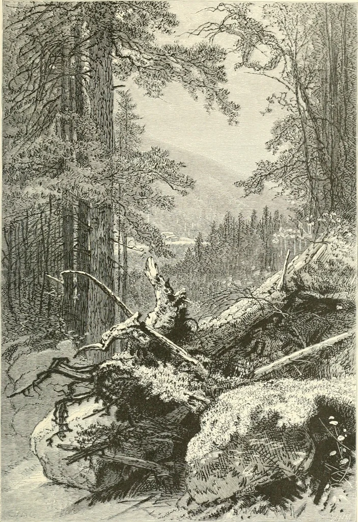 An illustration from American painters: with eighty-three examples of their work engraved on wood, 1879, leaf 238