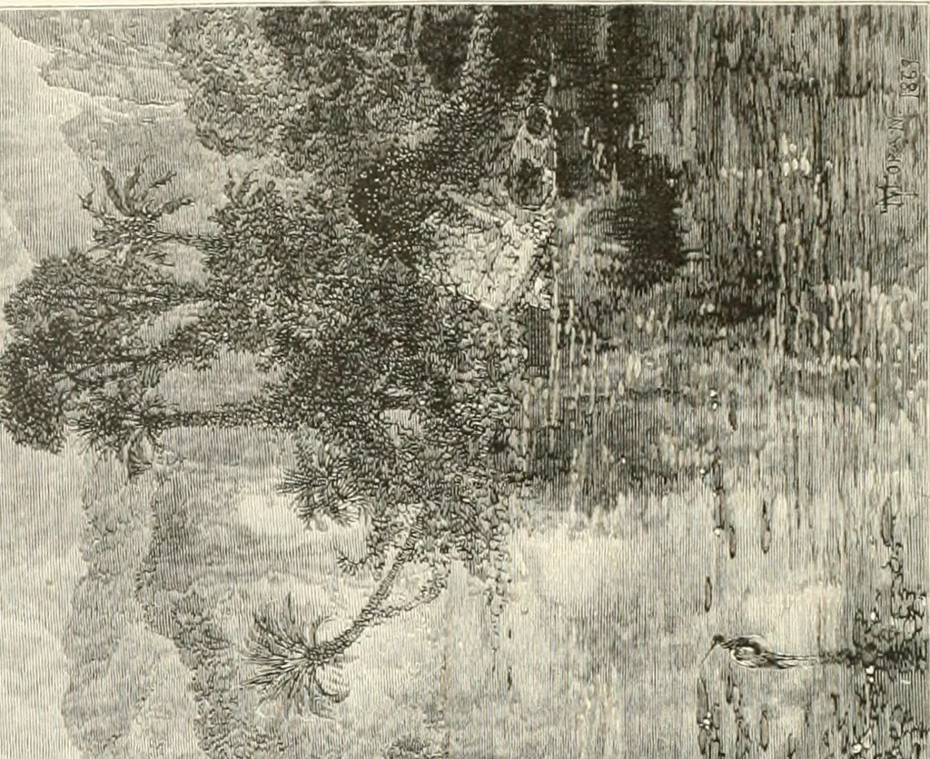 An illustration from American painters: with eighty-three examples of their work engraved on wood, 1879, leaf 243