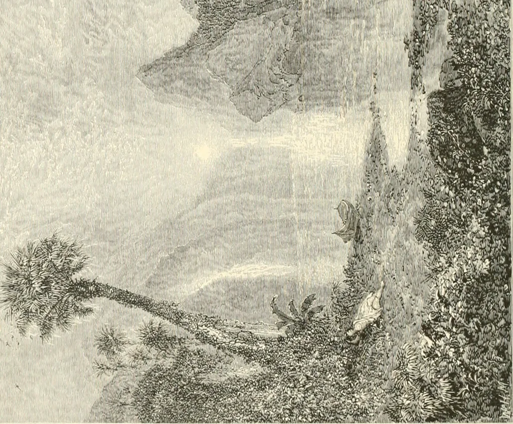 An illustration from American painters: with eighty-three examples of their work engraved on wood, 1879, leaf 243