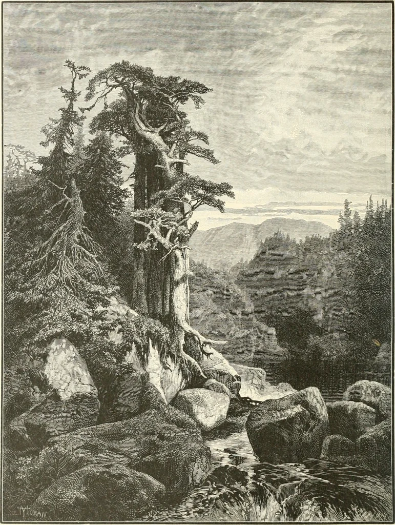 An illustration from American painters: with eighty-three examples of their work engraved on wood, 1879, leaf 247