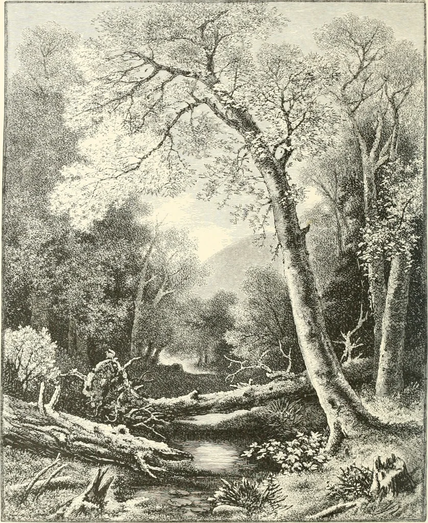 An illustration from American painters: with eighty-three examples of their work engraved on wood, 1879, leaf 251