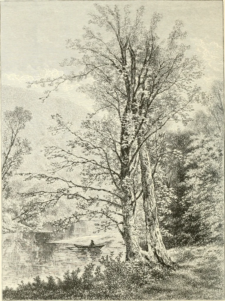 An illustration from American painters: with eighty-three examples of their work engraved on wood, 1879, leaf 259