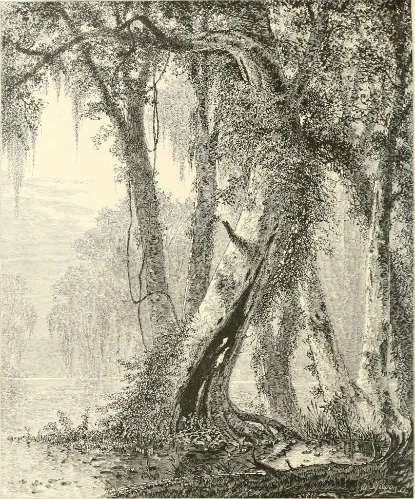 An illustration from American painters: with eighty-three examples of their work engraved on wood, 1879, leaf 267