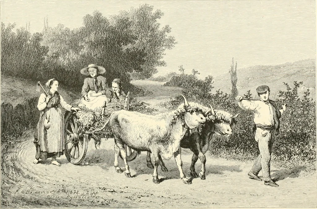 An illustration from American painters: with eighty-three examples of their work engraved on wood, 1879, leaf 295