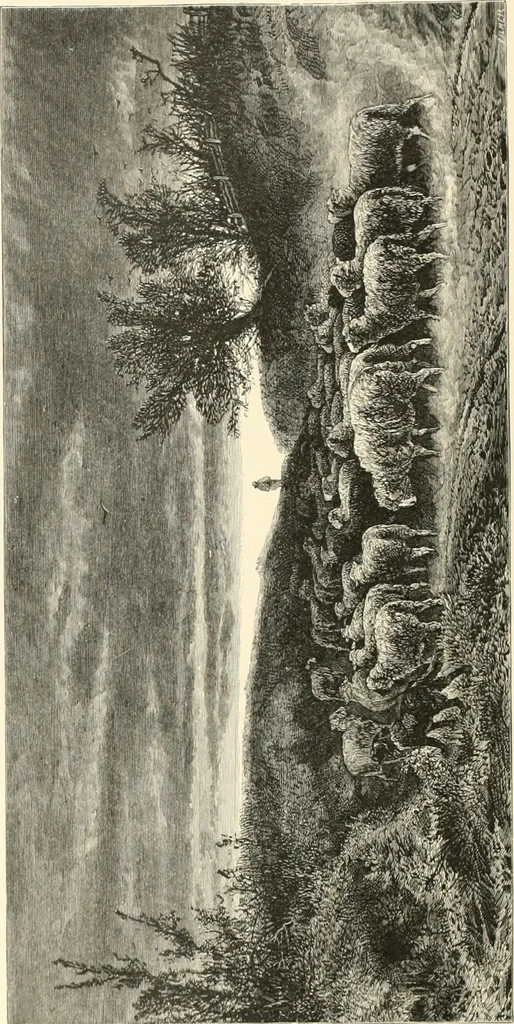 An illustration from American painters: with eighty-three examples of their work engraved on wood, 1879, leaf 43