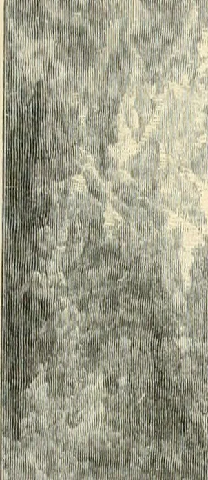 An illustration from American painters: with eighty-three examples of their work engraved on wood, 1879, leaf 46