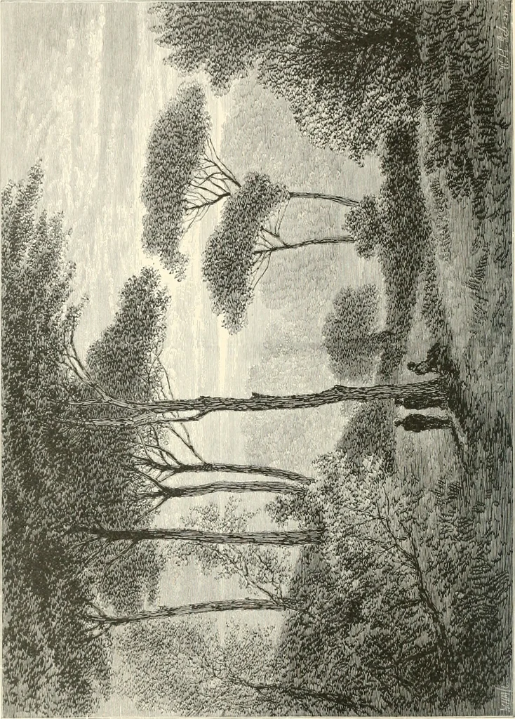 An illustration from American painters: with eighty-three examples of their work engraved on wood, 1879, leaf 63