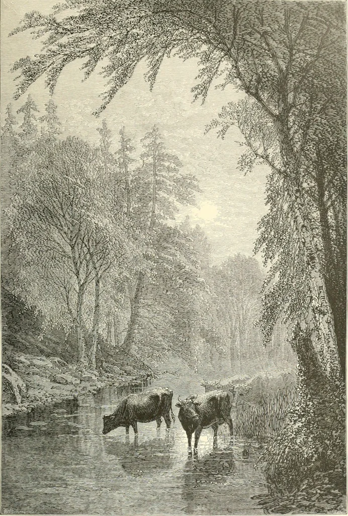 An illustration from American painters: with eighty-three examples of their work engraved on wood, 1879, leaf 96