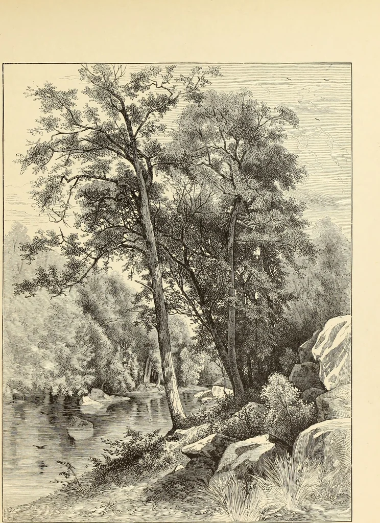 An illustration from American painters : with one hundred and four examples of their work engraved on wood, 1881, leaf 124