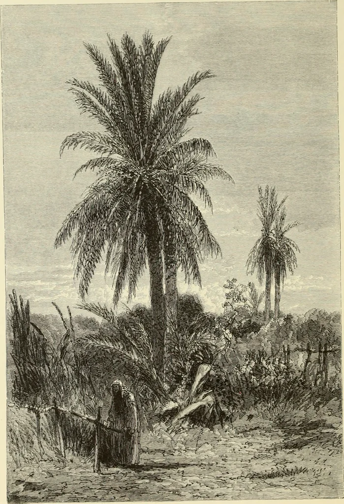 An illustration from American painters : with one hundred and four examples of their work engraved on wood, 1881, leaf 185