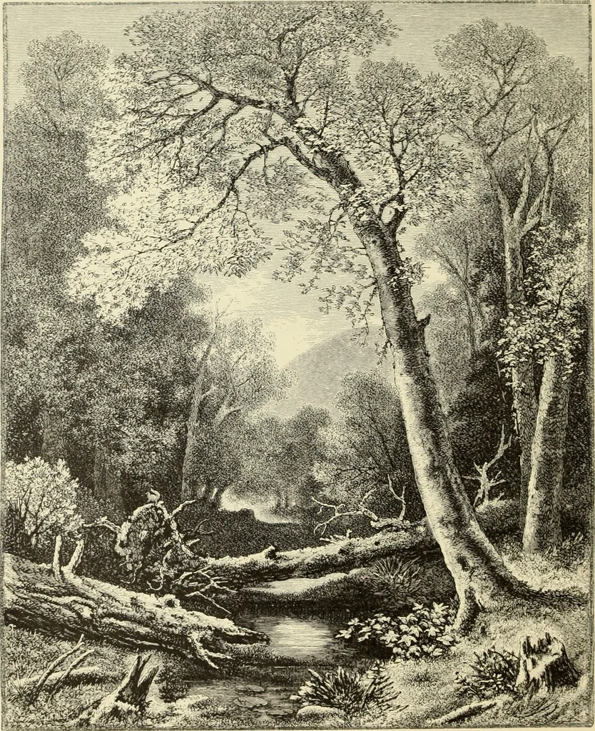 An illustration from American painters : with one hundred and four examples of their work engraved on wood, 1881, leaf 253