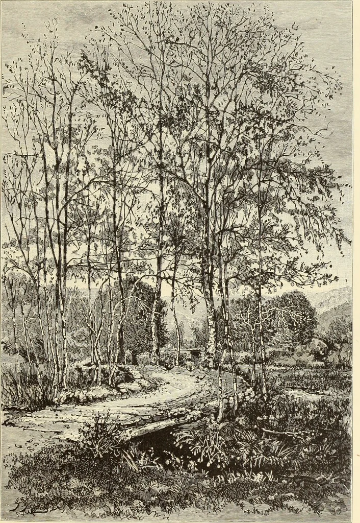 An illustration from American painters : with one hundred and four examples of their work engraved on wood, 1881, leaf 358