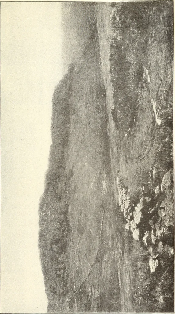 An illustration from American painting and its tradition : as represented by Inness, Wyant, Martin, Homer, La Farge, Whistler, Chase, Alexander, Sargent, 1919, leaf 114