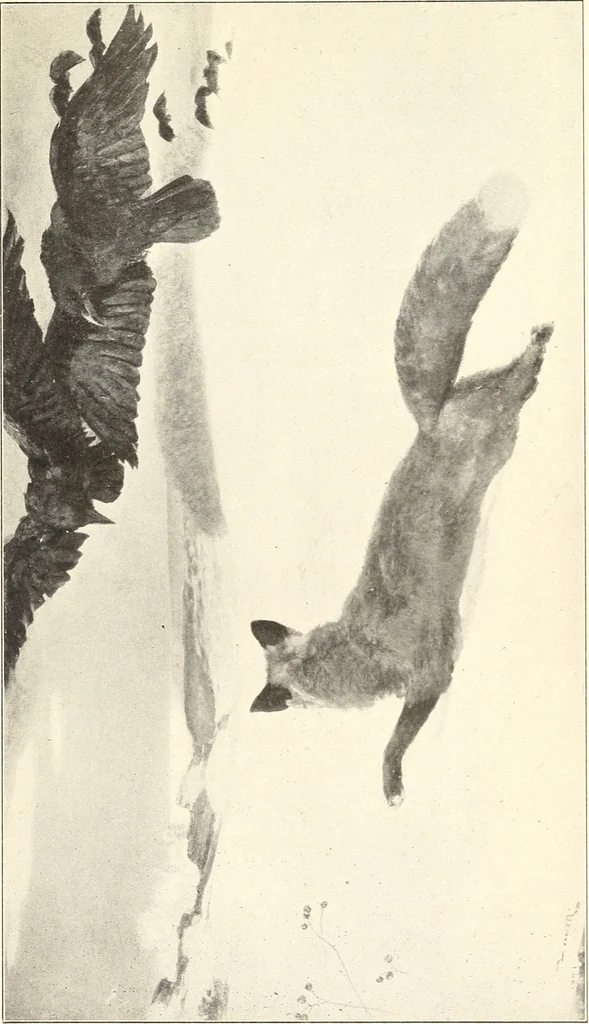An illustration from American painting and its tradition : as represented by Inness, Wyant, Martin, Homer, La Farge, Whistler, Chase, Alexander, Sargent, 1919, leaf 144