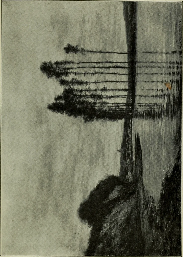 An illustration from American painting and its tradition, as represented by Inness, Wyant, Martin, Homer, La Farge, Wistler, Chase, Alexander, Sargent, 1919, leaf 102