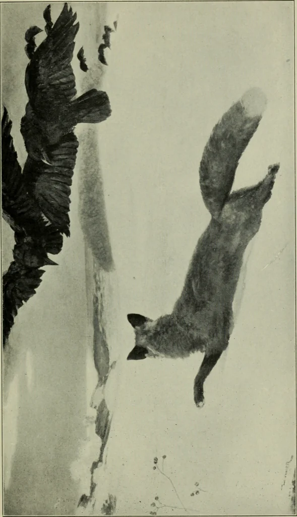 An illustration from American painting and its tradition, as represented by Inness, Wyant, Martin, Homer, La Farge, Wistler, Chase, Alexander, Sargent, 1919, leaf 140