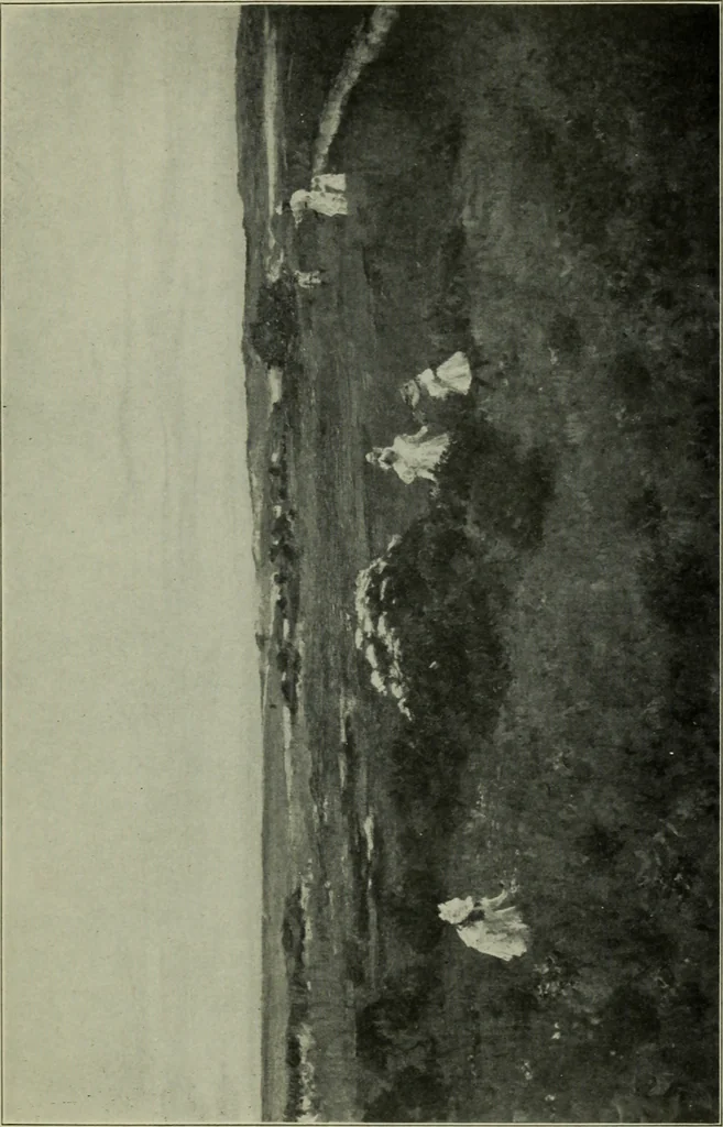 An illustration from American painting and its tradition, as represented by Inness, Wyant, Martin, Homer, La Farge, Wistler, Chase, Alexander, Sargent, 1919, leaf 254