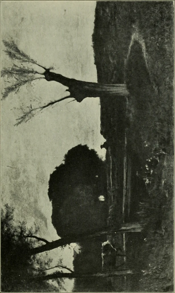 An illustration from American painting and its tradition, as represented by Inness, Wyant, Martin, Homer, La Farge, Wistler, Chase, Alexander, Sargent, 1919, leaf 46