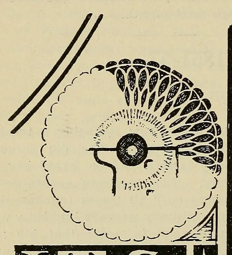 An illustration from The American philatelist, 1887, leaf 160