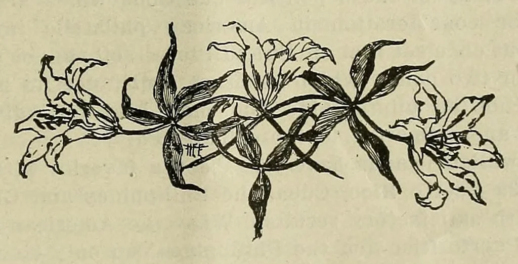 An illustration from The American philatelist, 1887, leaf 11