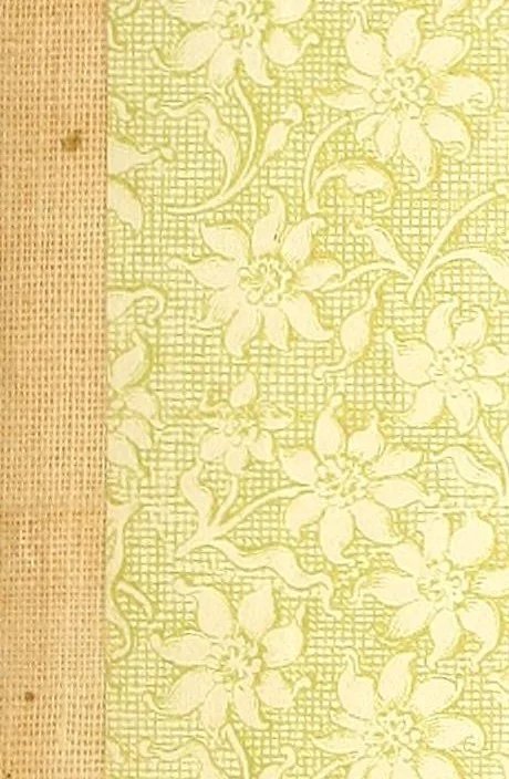 An illustration from The American philatelist, 1887, leaf 89