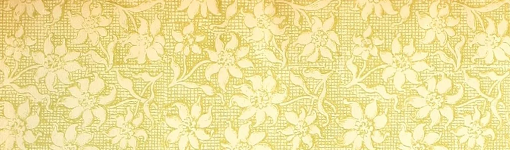 An illustration from The American philatelist, 1887, leaf 3
