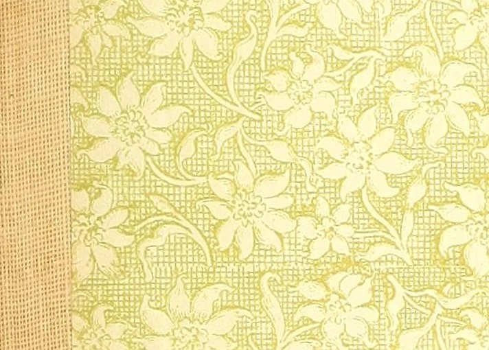 An illustration from The American philatelist, 1887, leaf 111