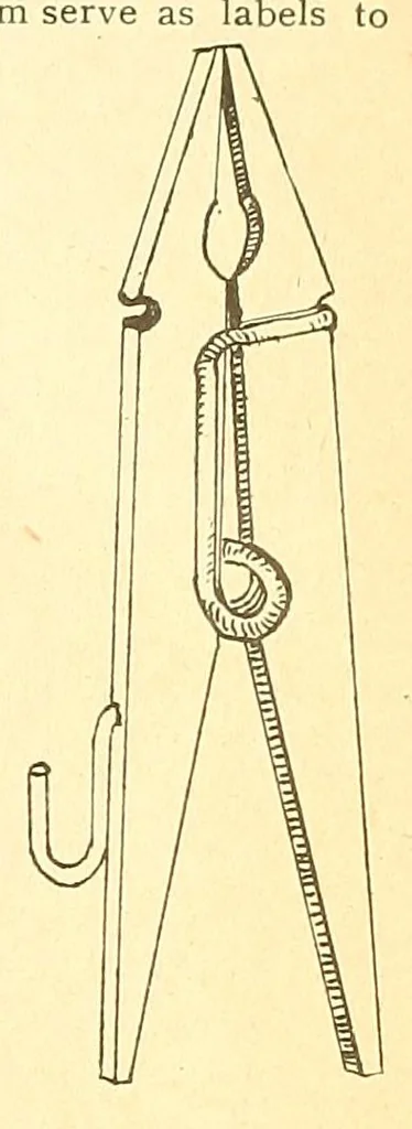 An illustration from The American philatelist, 1887, leaf 27