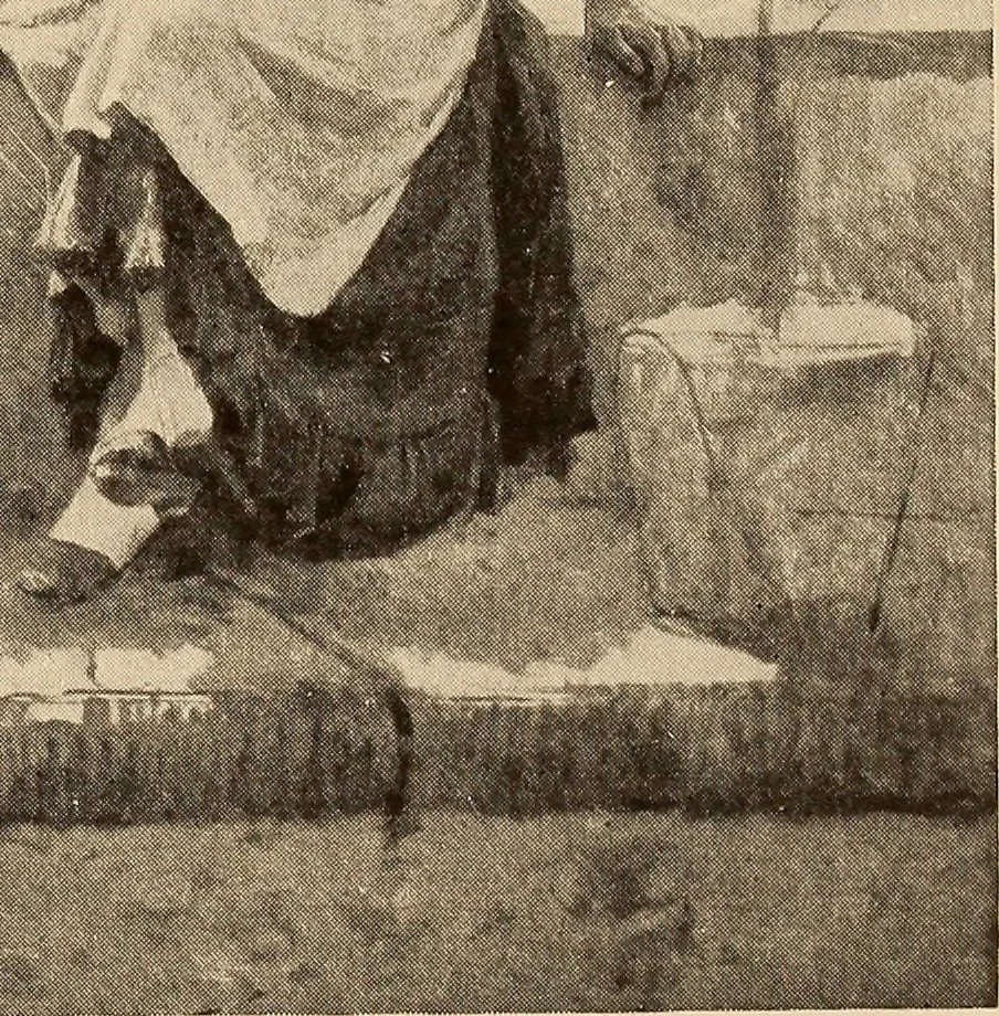 An illustration from American pictures and their painters, 1917, leaf 160