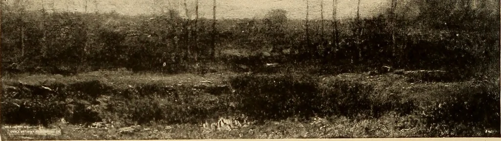 An illustration from American pictures and their painters, 1917, leaf 205