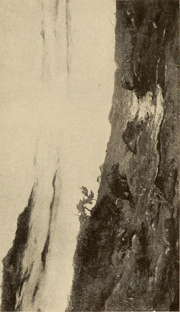 An illustration from American pictures and their painters, 1917, leaf 224