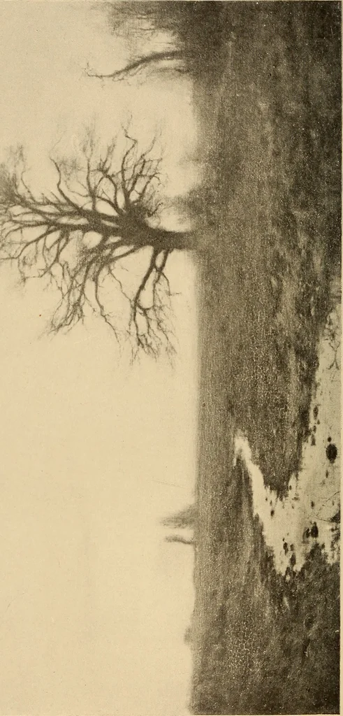 An illustration from American pictures and their painters, 1917, leaf 229