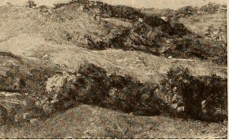 An illustration from American pictures and their painters, 1917, leaf 232