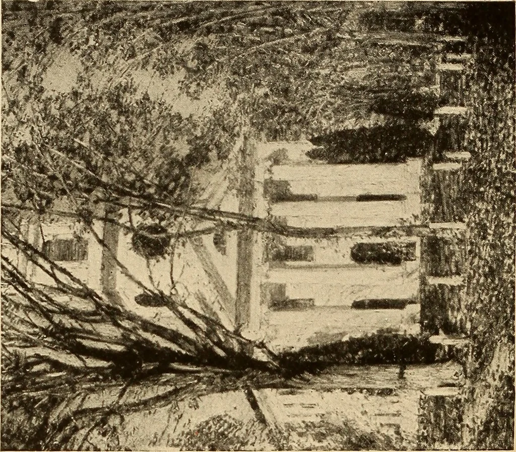 An illustration from American pictures and their painters, 1917, leaf 283