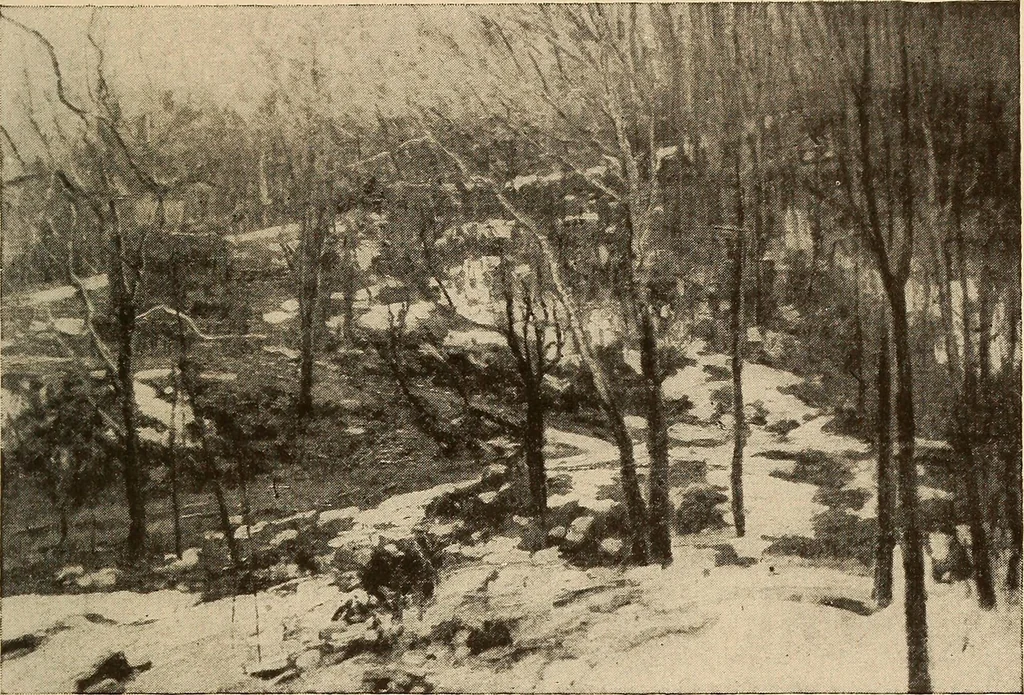 An illustration from American pictures and their painters, 1917, leaf 320