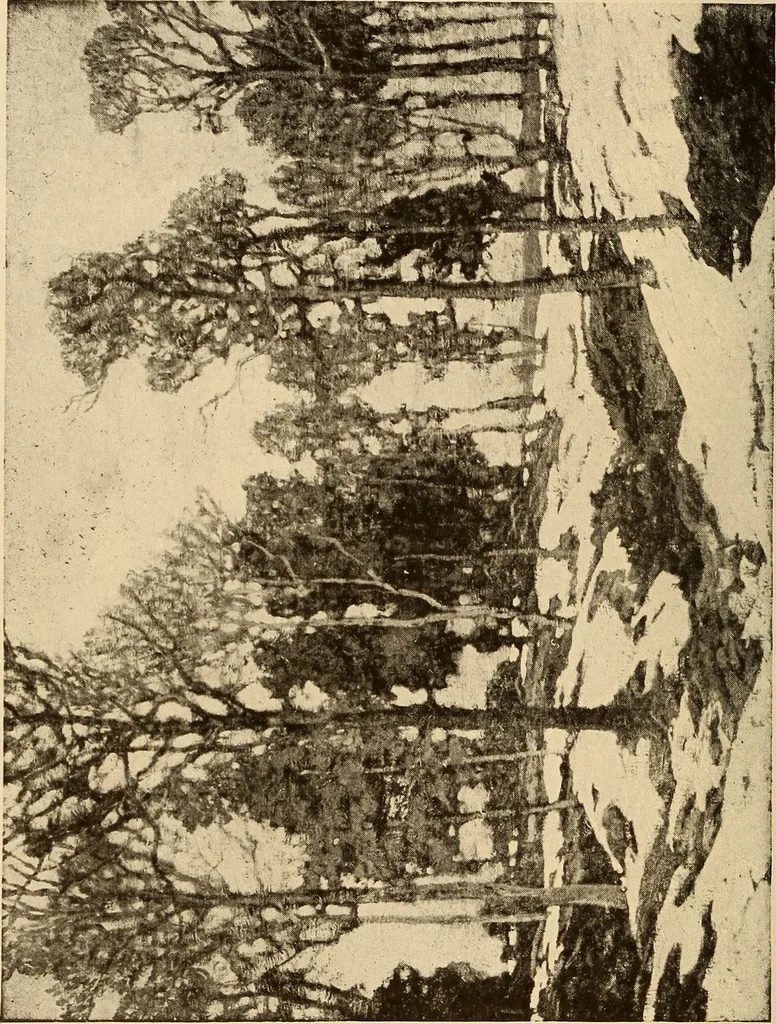 An illustration from American pictures and their painters, 1917, leaf 321