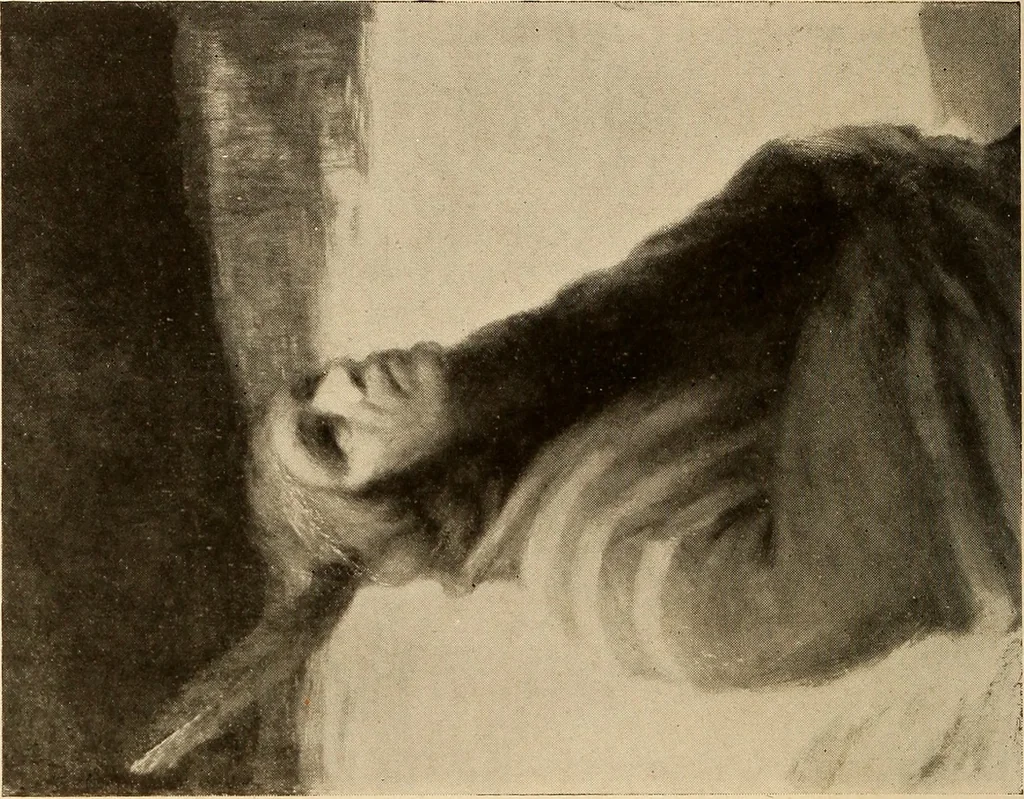 An illustration from American pictures and their painters, 1917, leaf 475