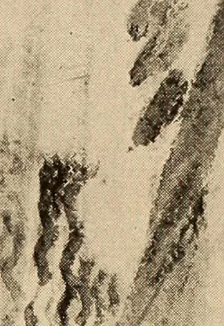 An illustration from American pictures and their painters, 1917, leaf 488