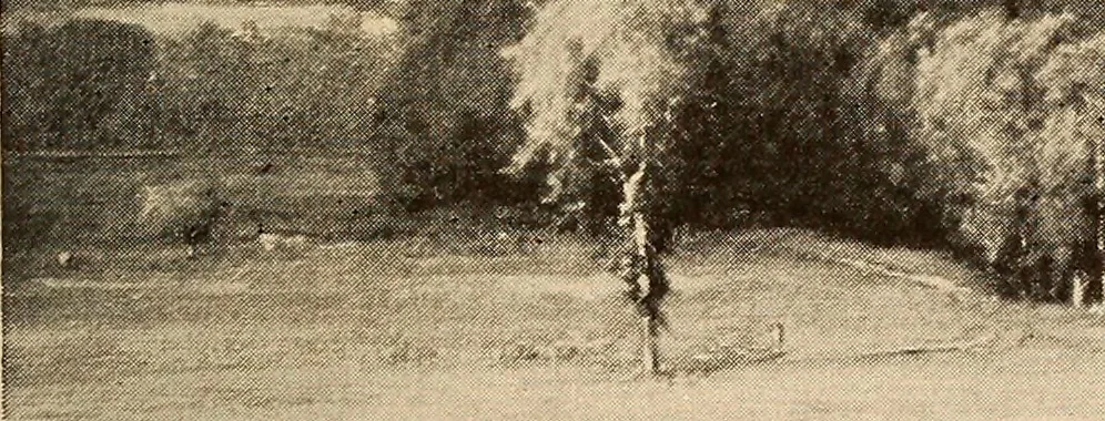 An illustration from American pictures and their painters, 1917, leaf 70