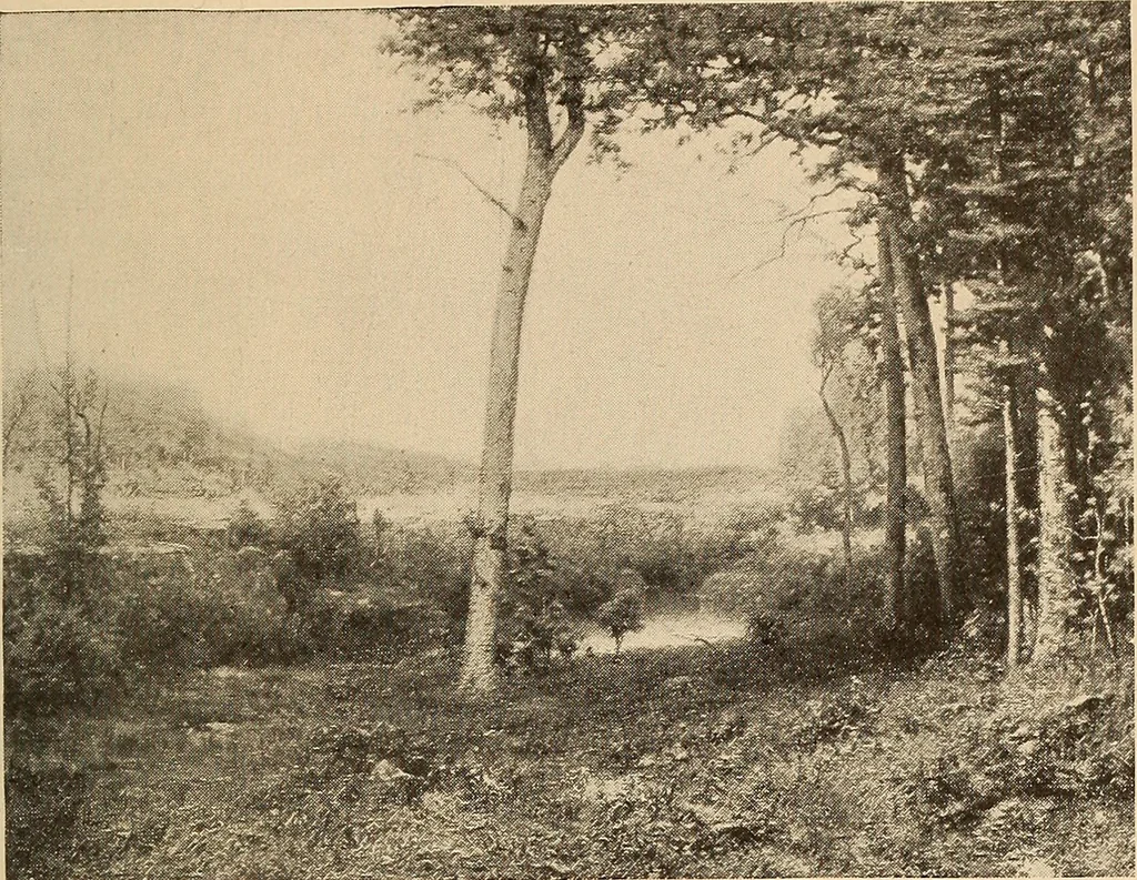 An illustration from American pictures and their painters, 1917, leaf 92