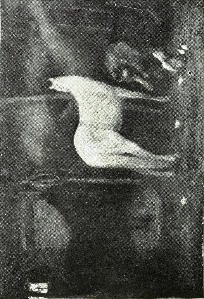 An illustration from American pictures and their painters, 1921, leaf 129