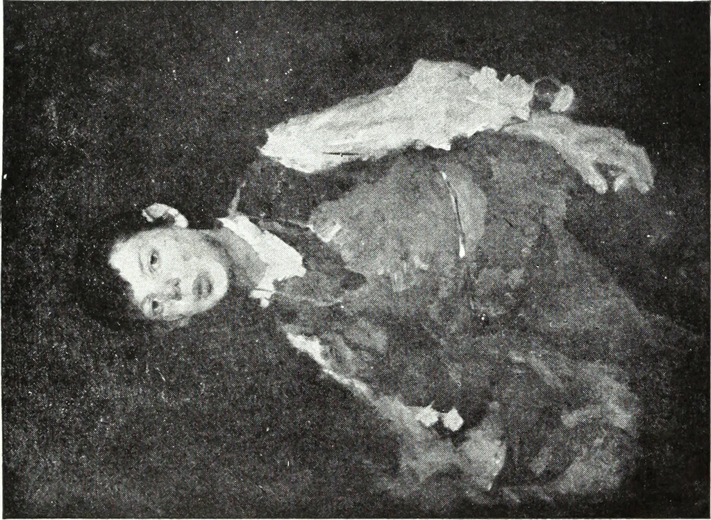 An illustration from American pictures and their painters, 1921, leaf 160