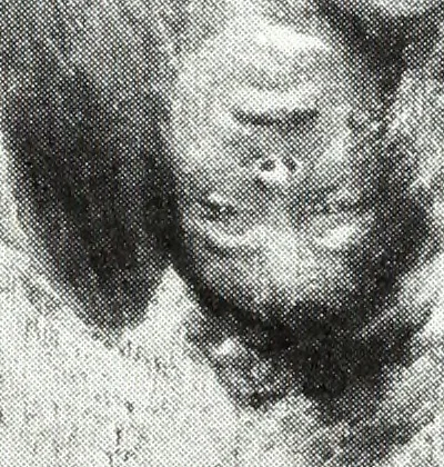 An illustration from American pictures and their painters, 1921, leaf 166