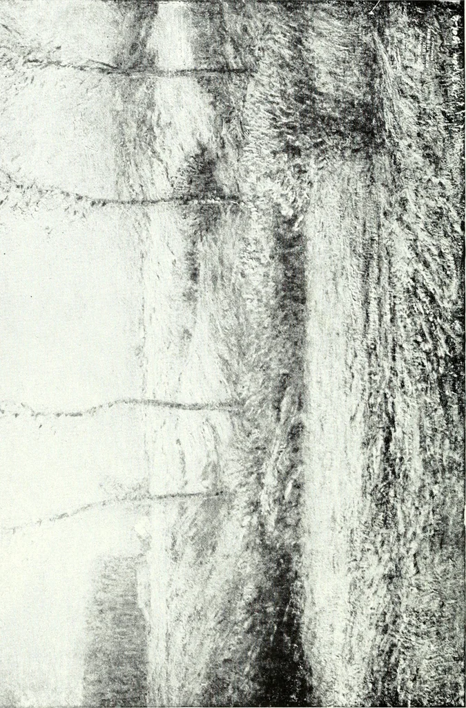 An illustration from American pictures and their painters, 1921, leaf 201