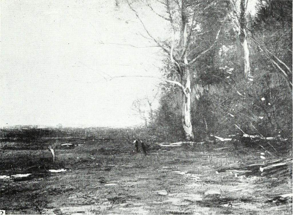 An illustration from American pictures and their painters, 1921, leaf 208
