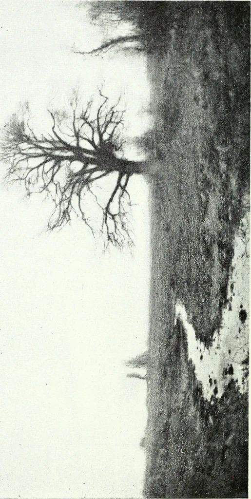 An illustration from American pictures and their painters, 1921, leaf 229